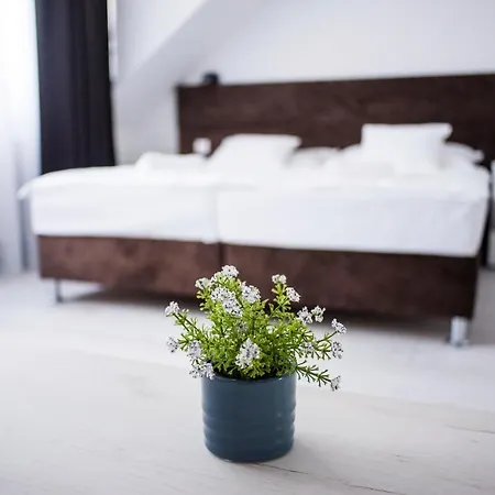 Q-panzio فندق مبيت وإفطار تاتا