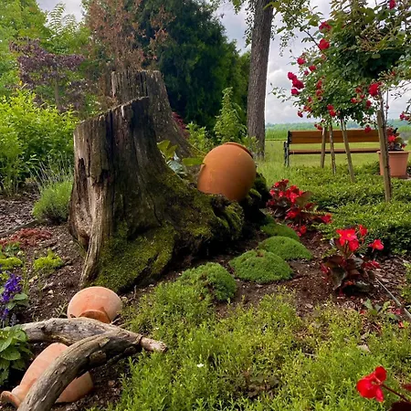 فندق مبيت وإفطار Q-panzio 4*